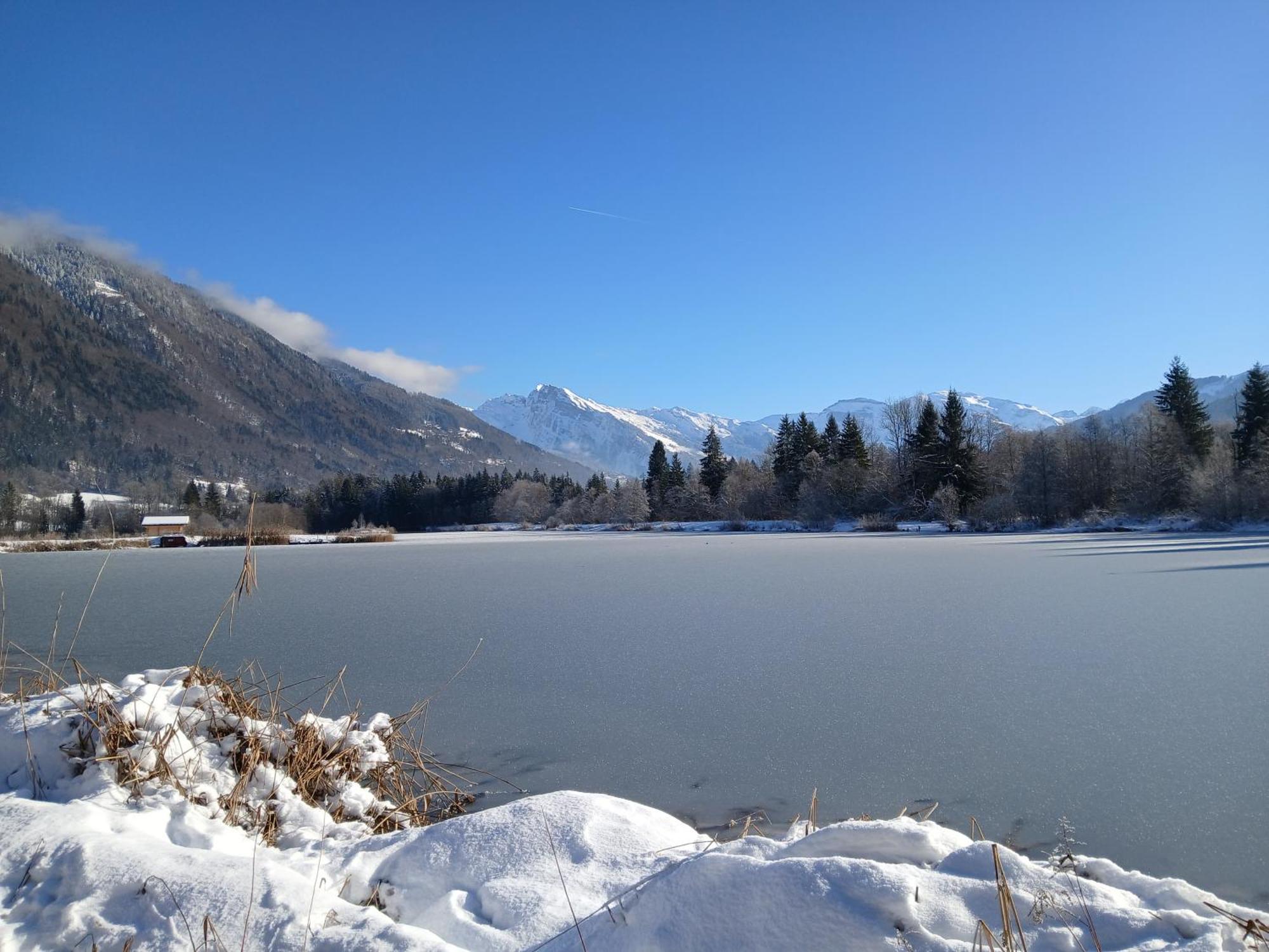 Chalet Les Vagnys - Lac Des Vernays La Riviere-Enverse Dış mekan fotoğraf